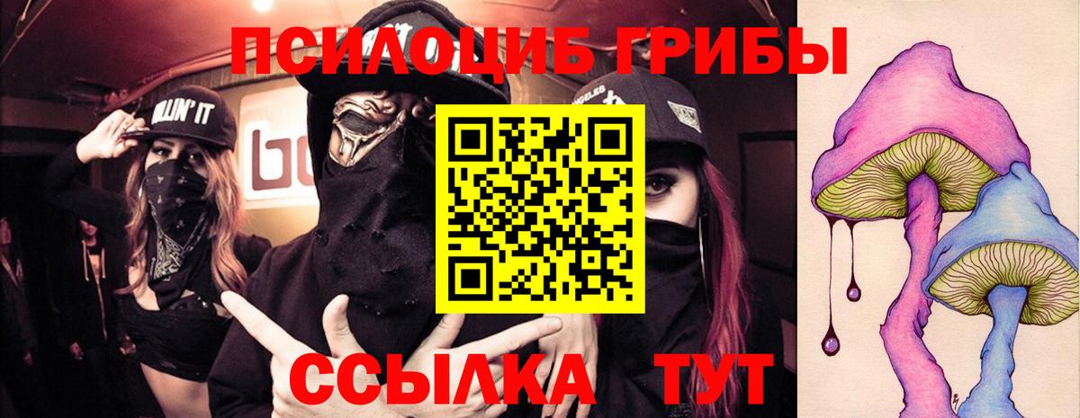 Галлюциногенные грибы Magic Shrooms  Псилоцибиновые грибы ЛСД  Вход с VPN  Тара 